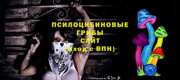 mdma Заводоуковск