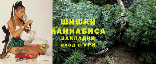 mdma Заводоуковск