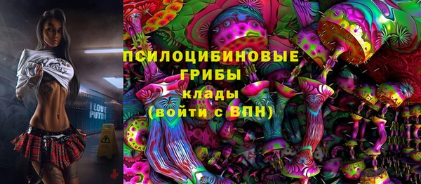 mdma Заводоуковск